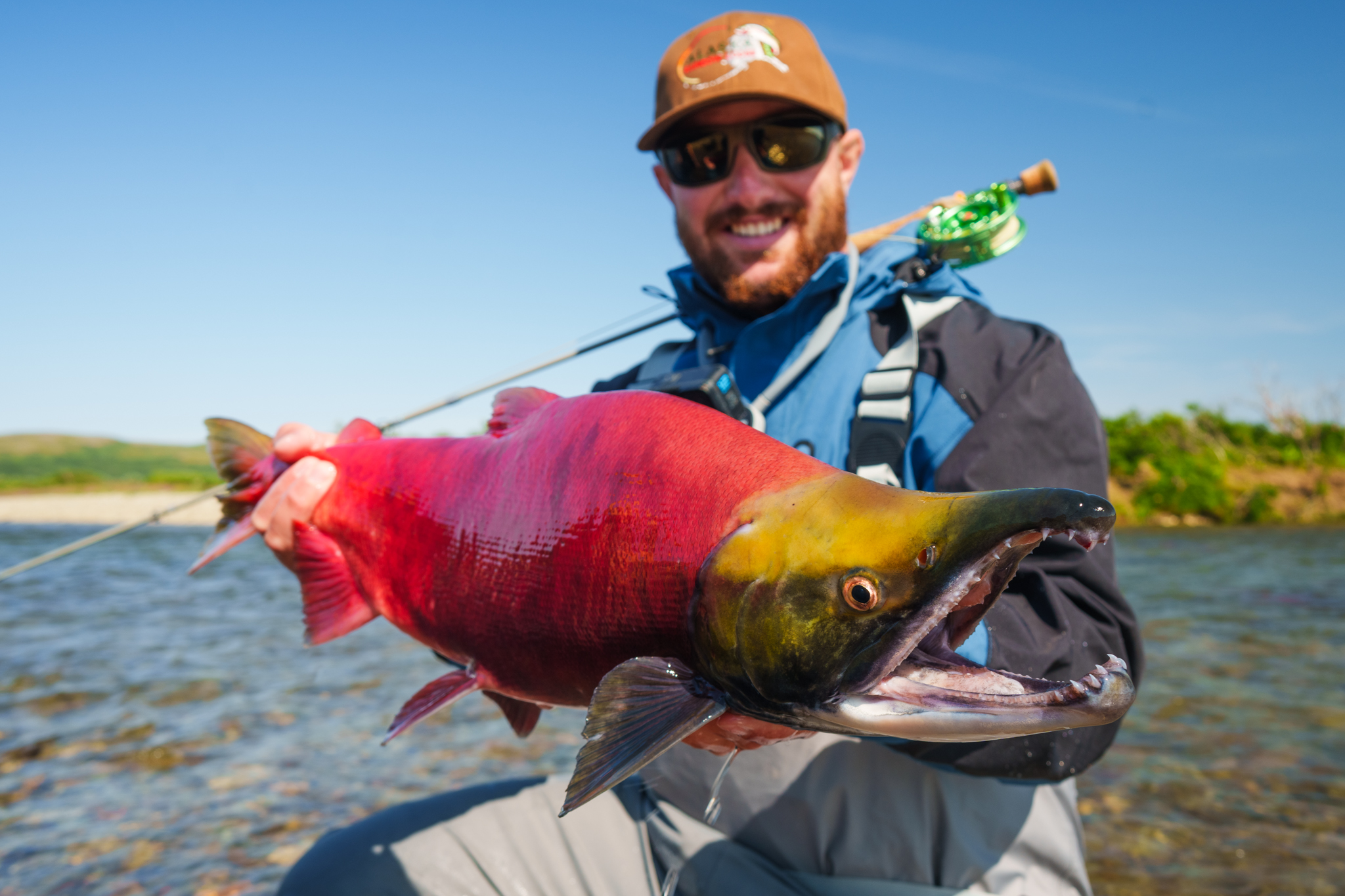 Alaska Rainbow Lodge photo 12