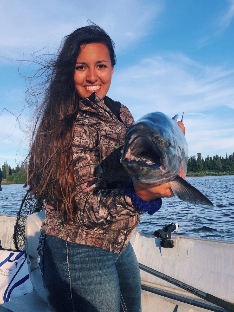 Alaska Kingfishers