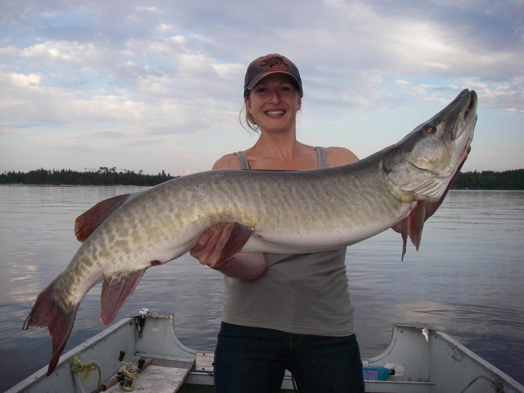 Big North Lodge and Outposts photo 4