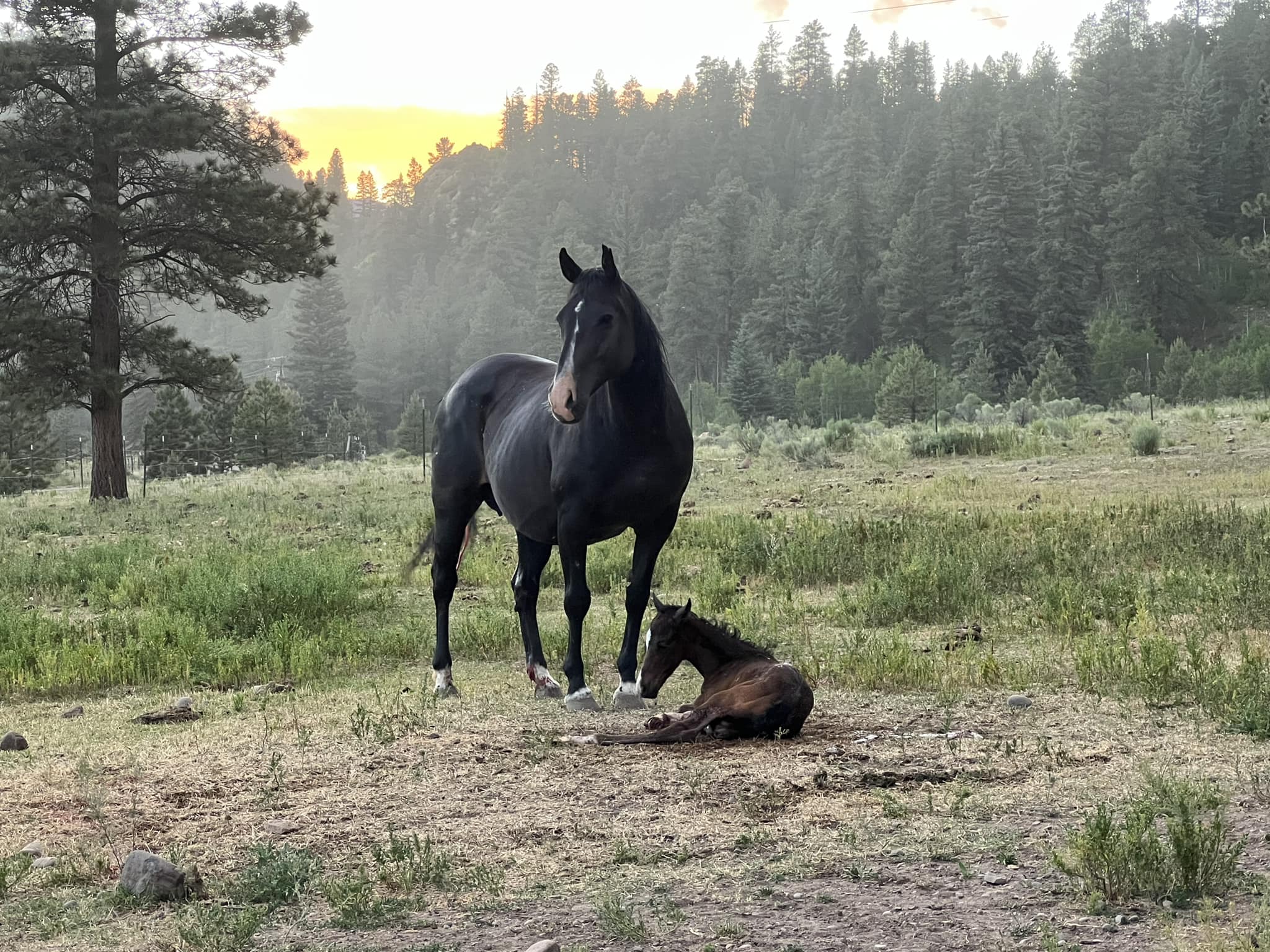 Rainbow Trout Ranch photo 7