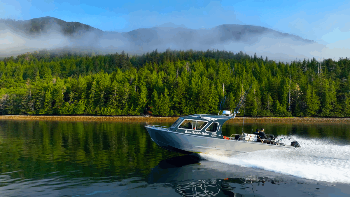 Haida Gwaii Safaris (formally Queen Charlotte Safaris)