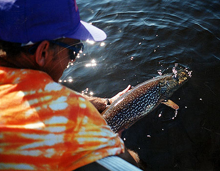 Cobham River Lodge photo 7