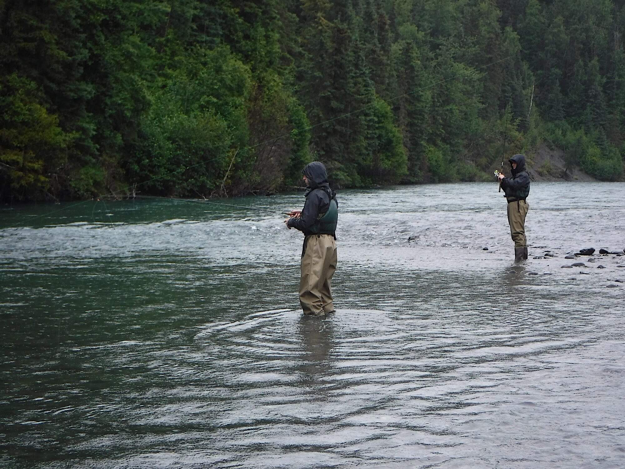 Alaskan Angling Adventures photo 3