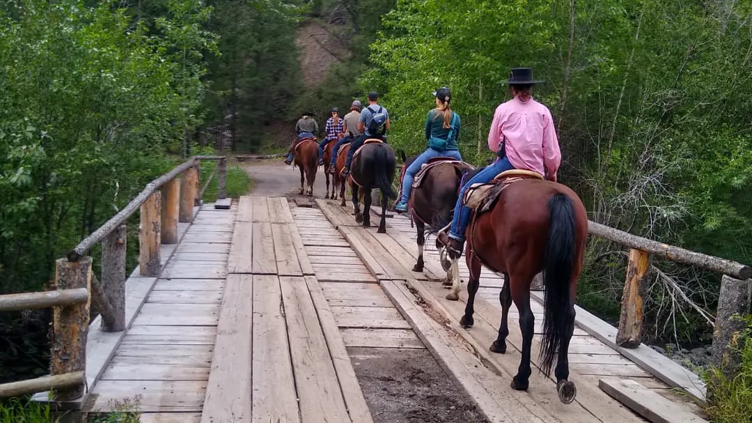 Absaroka Mountain Lodge photo 5