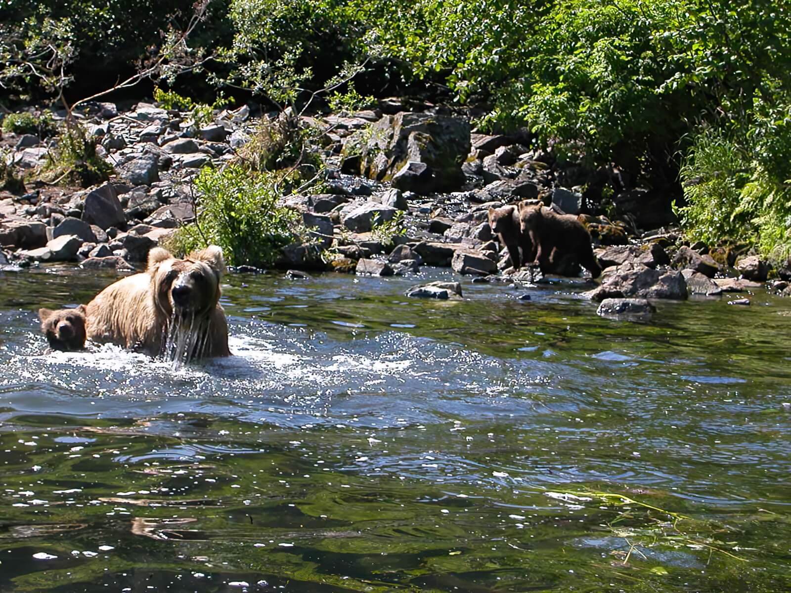 Alaska Fish On Charters photo 3