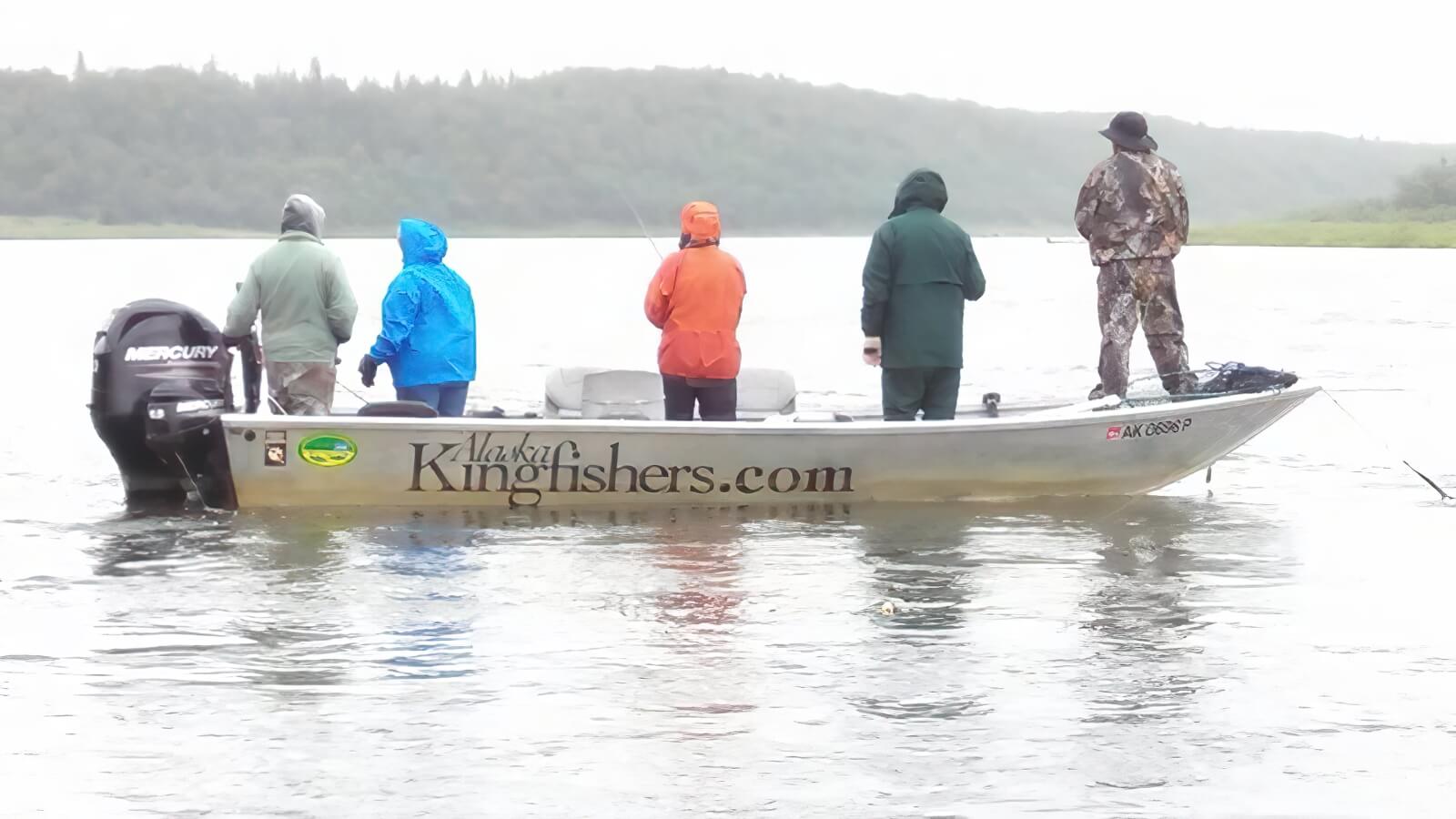 Alaska Kingfishers photo 9