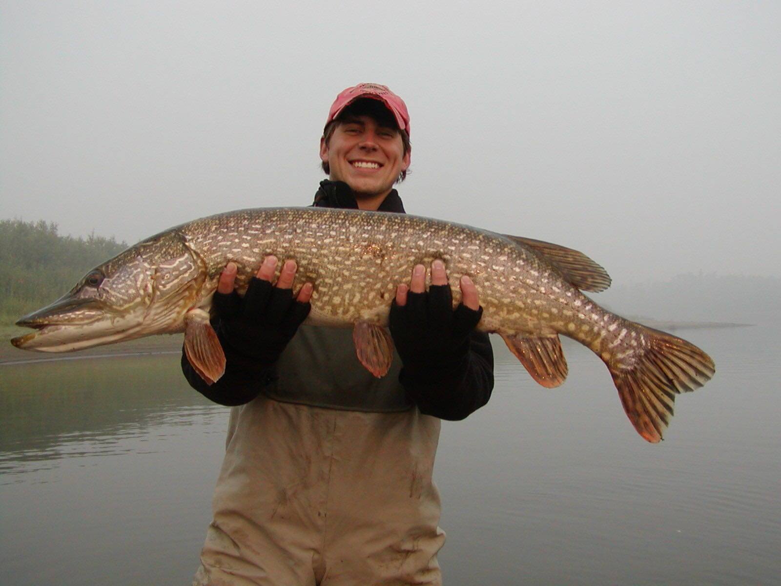 Alaskan Adventures photo 13