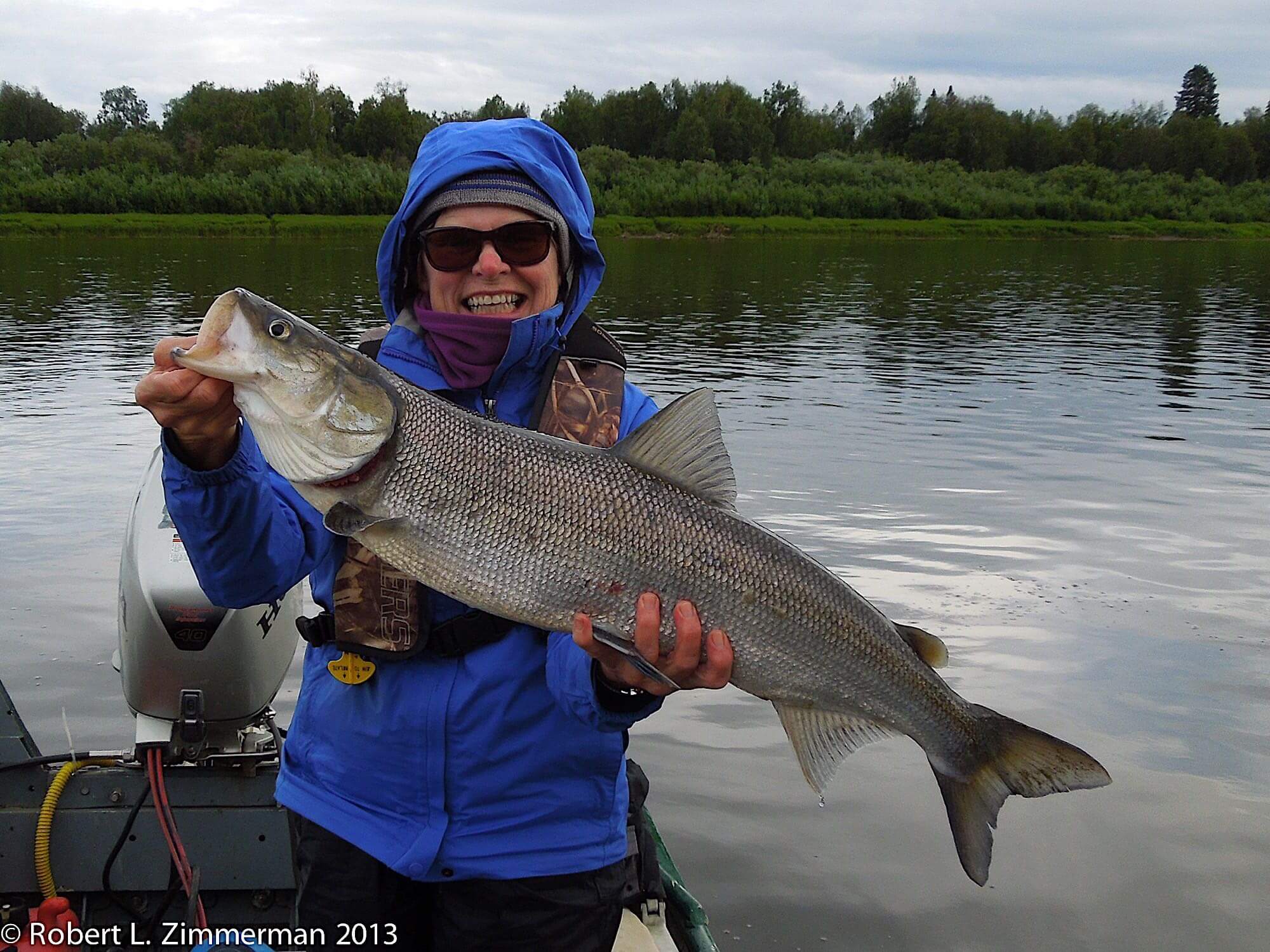 Alaskan Adventures photo 3