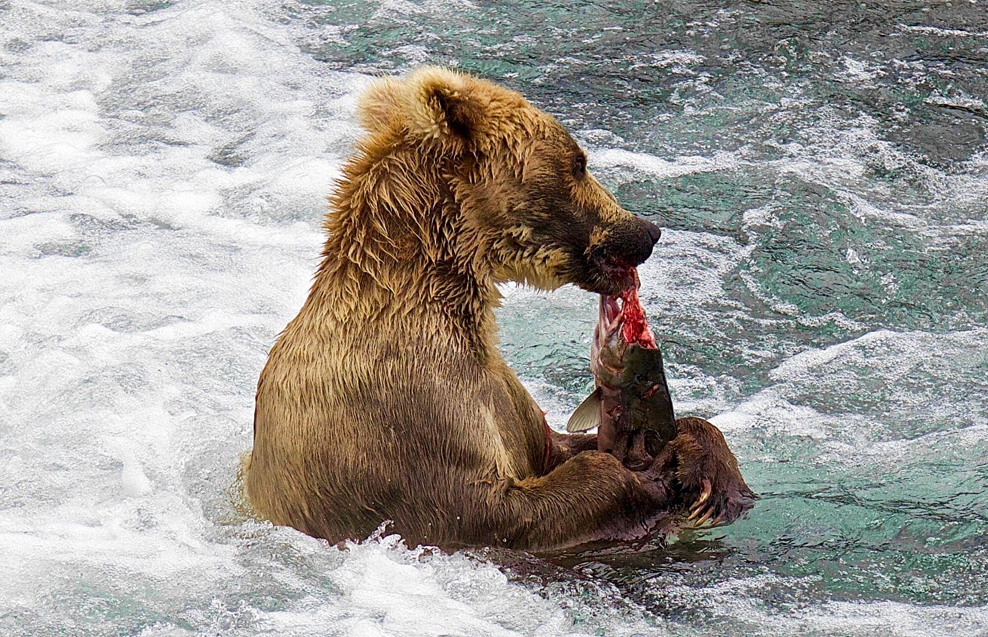Angler’s Alibi photo 11