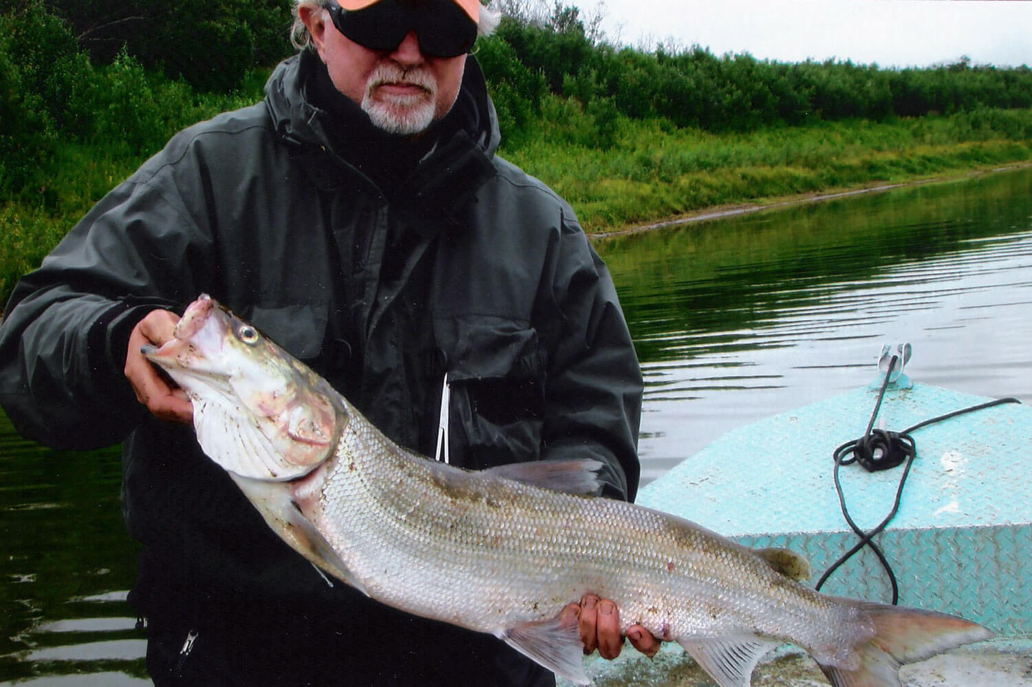 Aniak Three Rivers Lodge photo 9