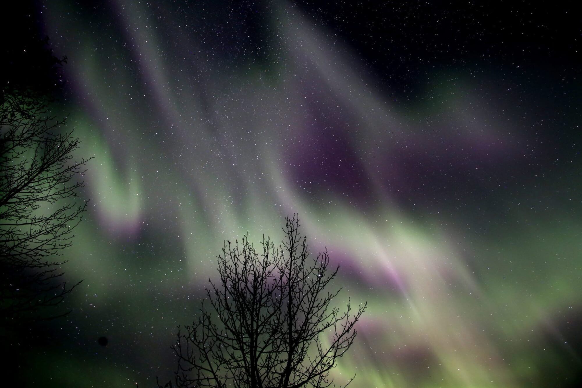 Alaska’s Anvik River Lodge photo 10
