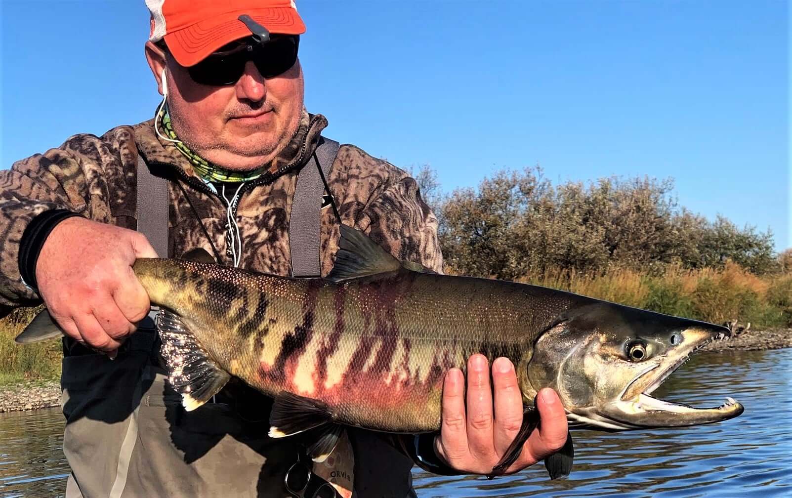 Alaska Rainbow Adventures photo 3