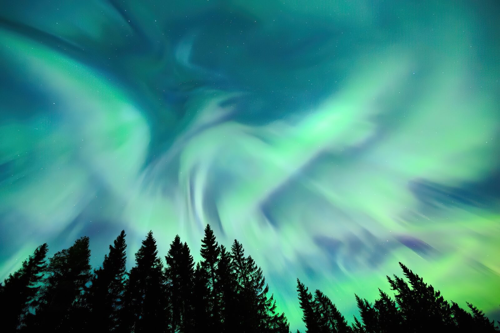 Arctic Lodges photo 3