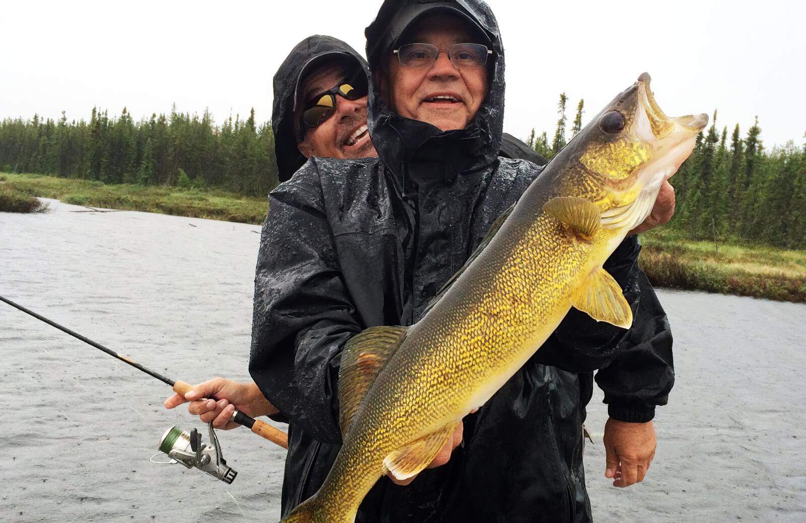 Arctic Lodges photo 10