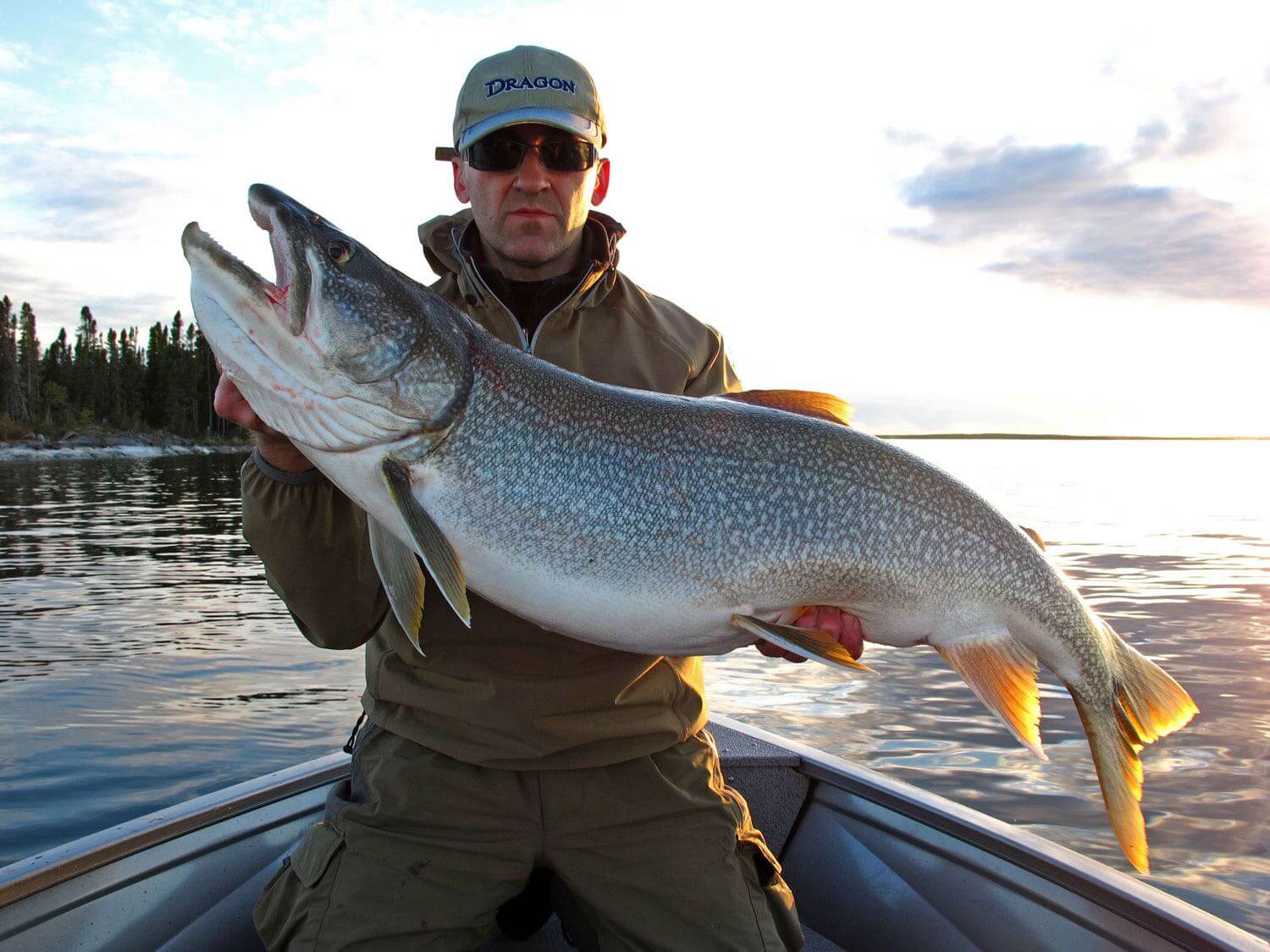 Arctic Lodges photo 5