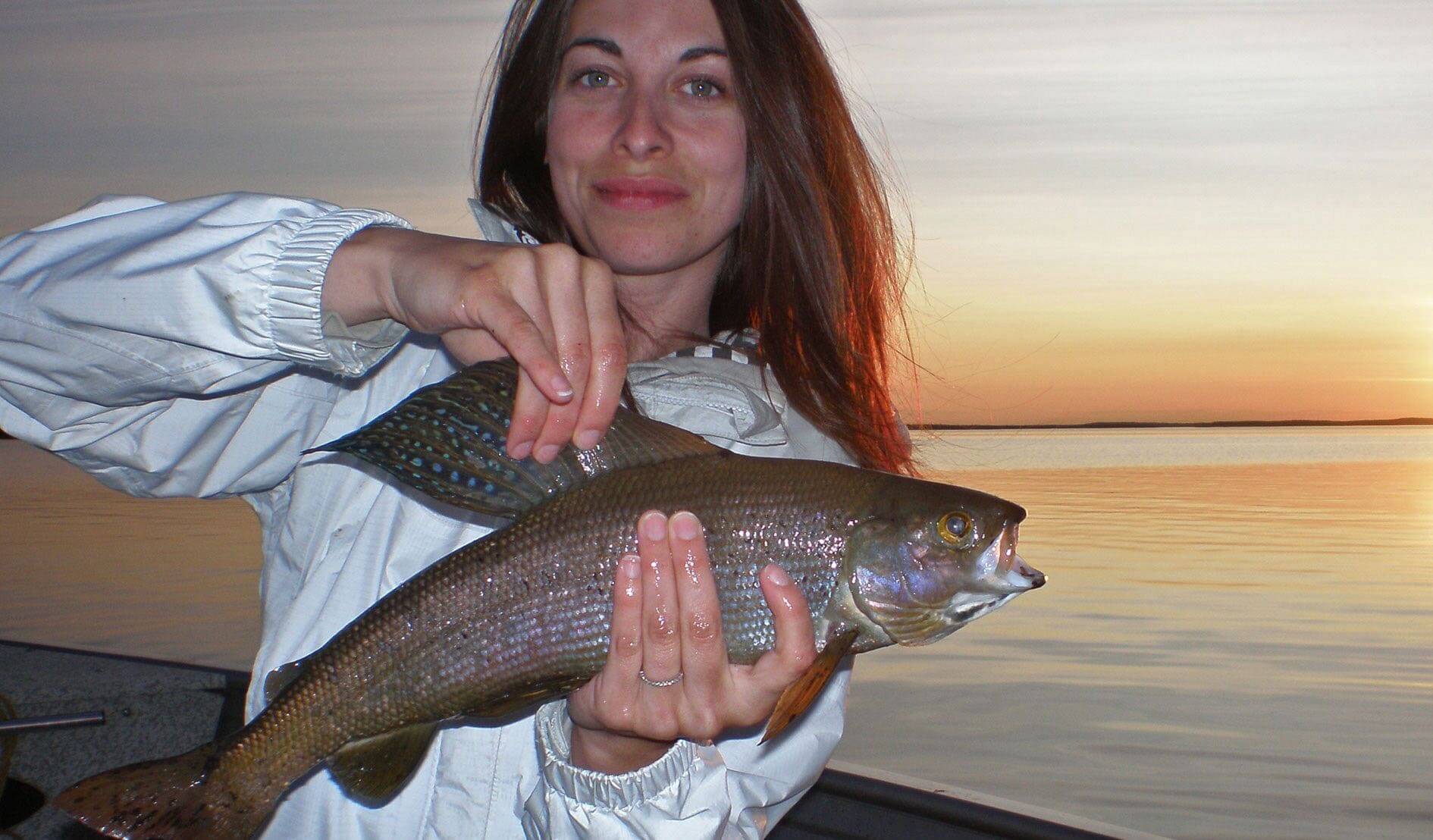 Arctic Lodges photo 8