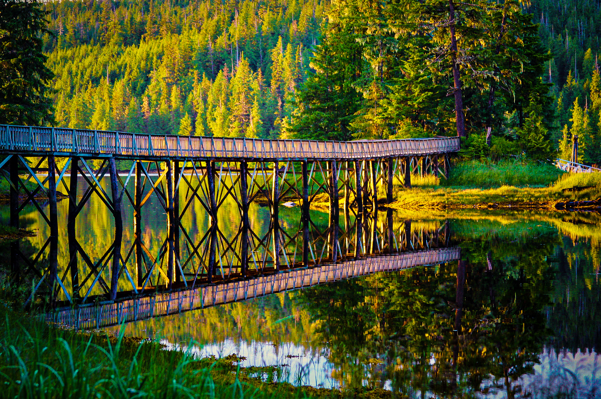 Boardwalk Lodge photo 10