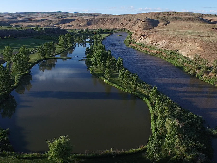 Black Canyon Anglers photo 11