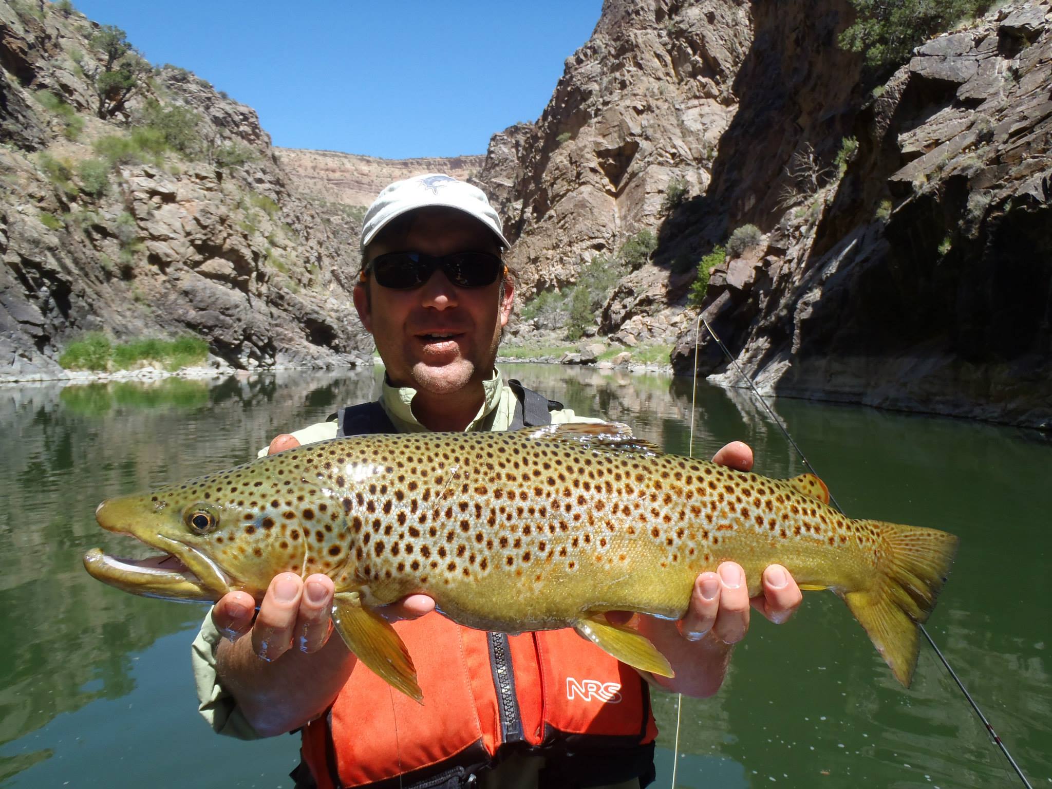 Black Canyon Anglers photo 13