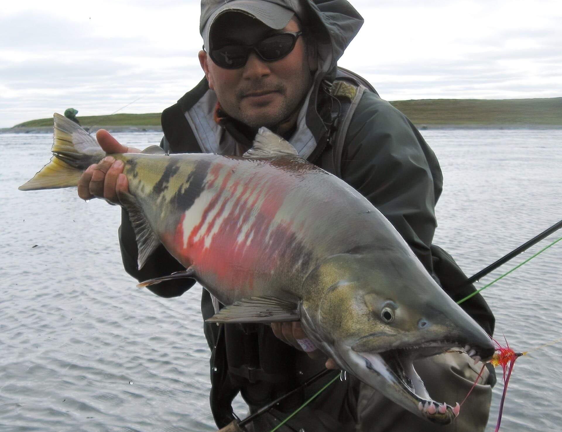 Becharof Rapids Camp photo 11