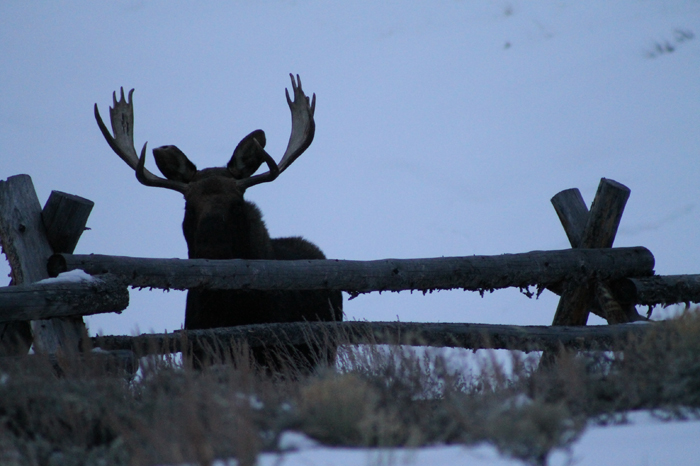 Buffalo Creek Ranch photo 6