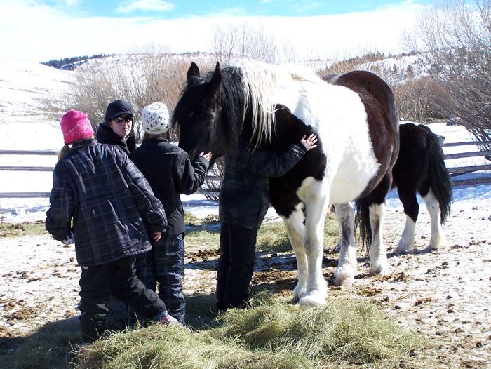 Buffalo Creek Ranch photo 9