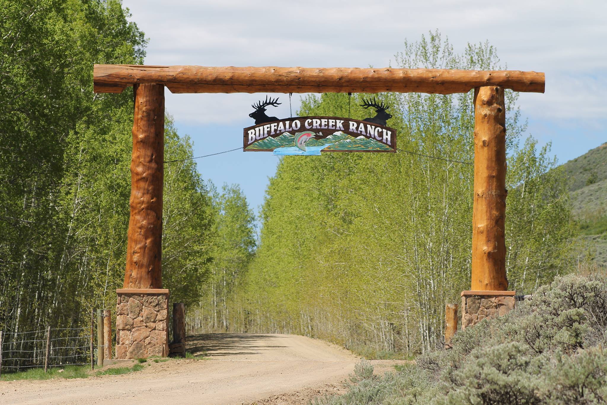 Buffalo Creek Ranch photo 10