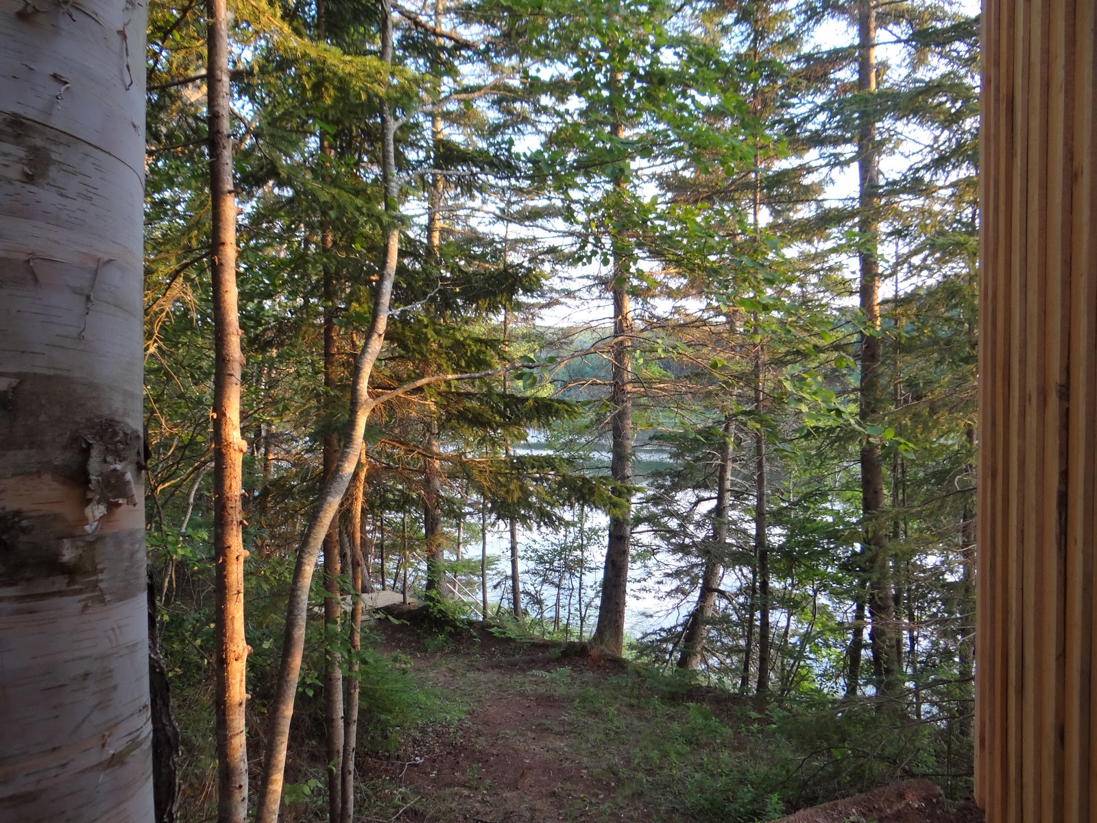 Trout River Retreat photo 6