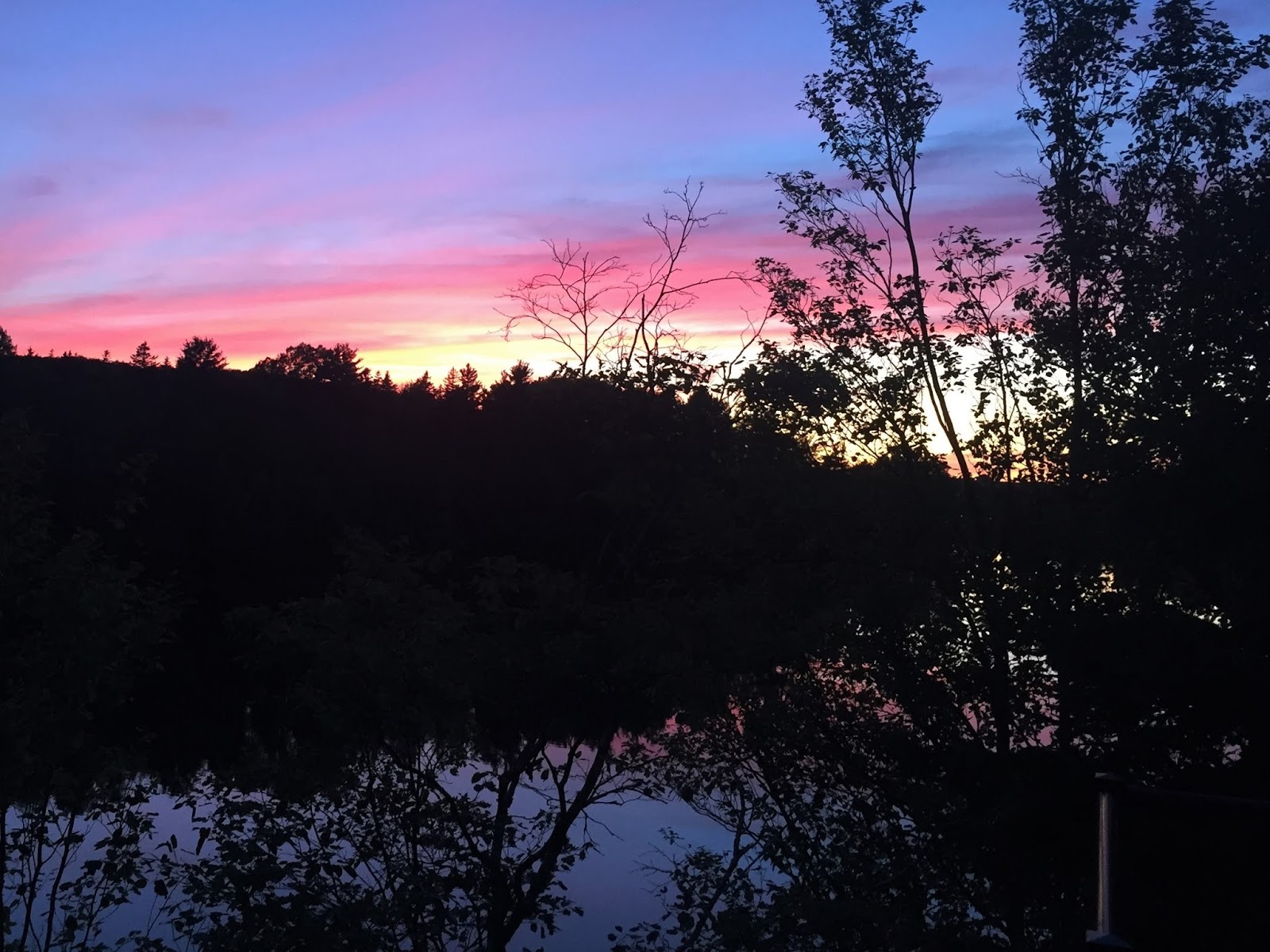 Trout River Retreat photo 4