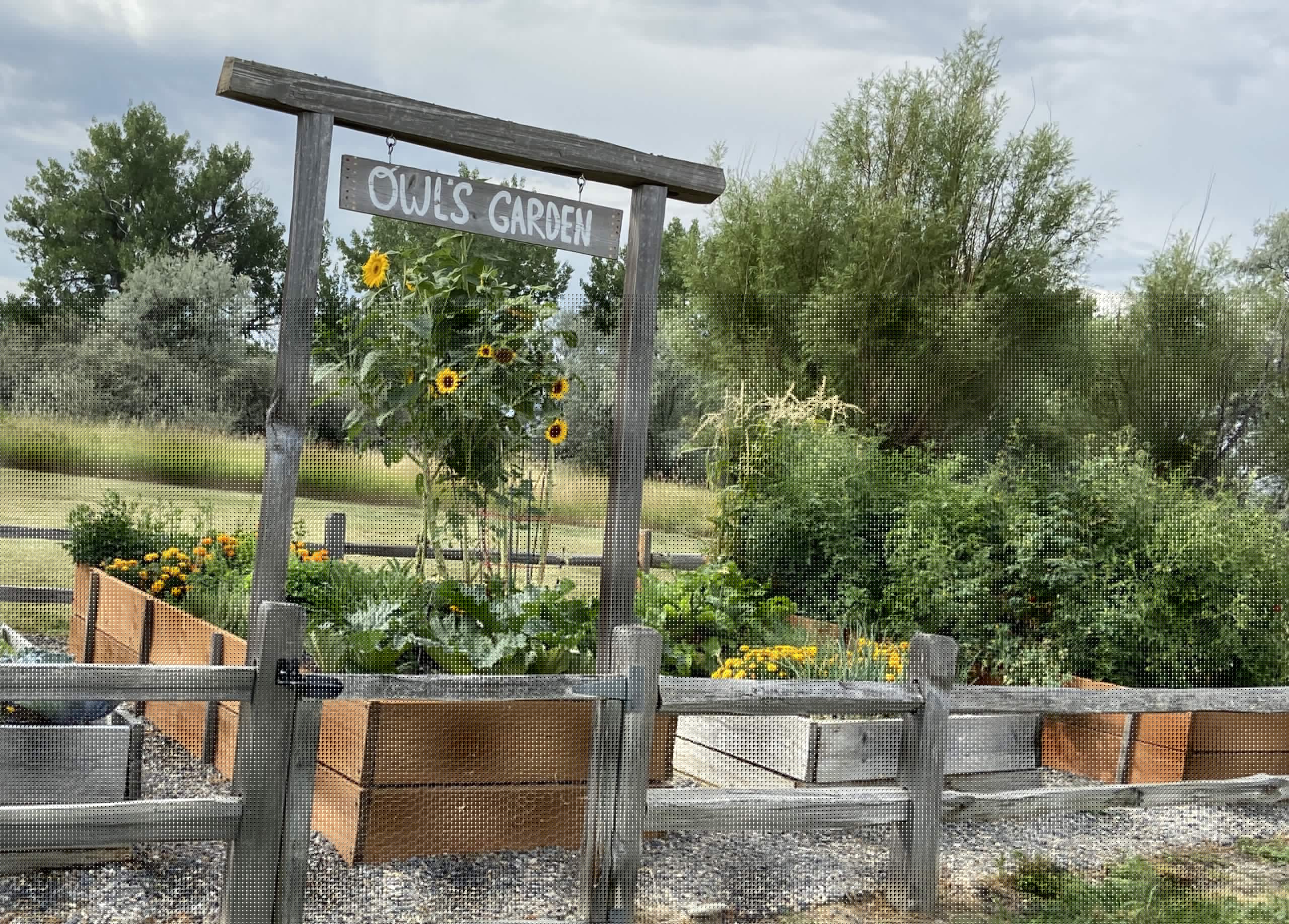Bighorn River Lodge photo 6