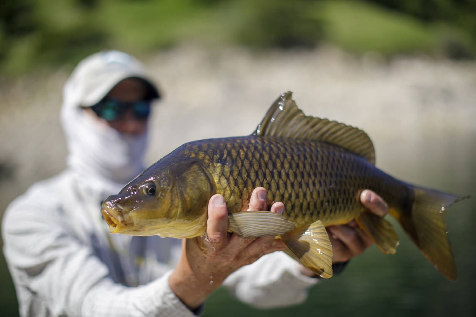 Bighorn River Lodge photo 4