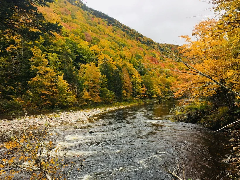 Big Intervale Fishing Lodge photo 12