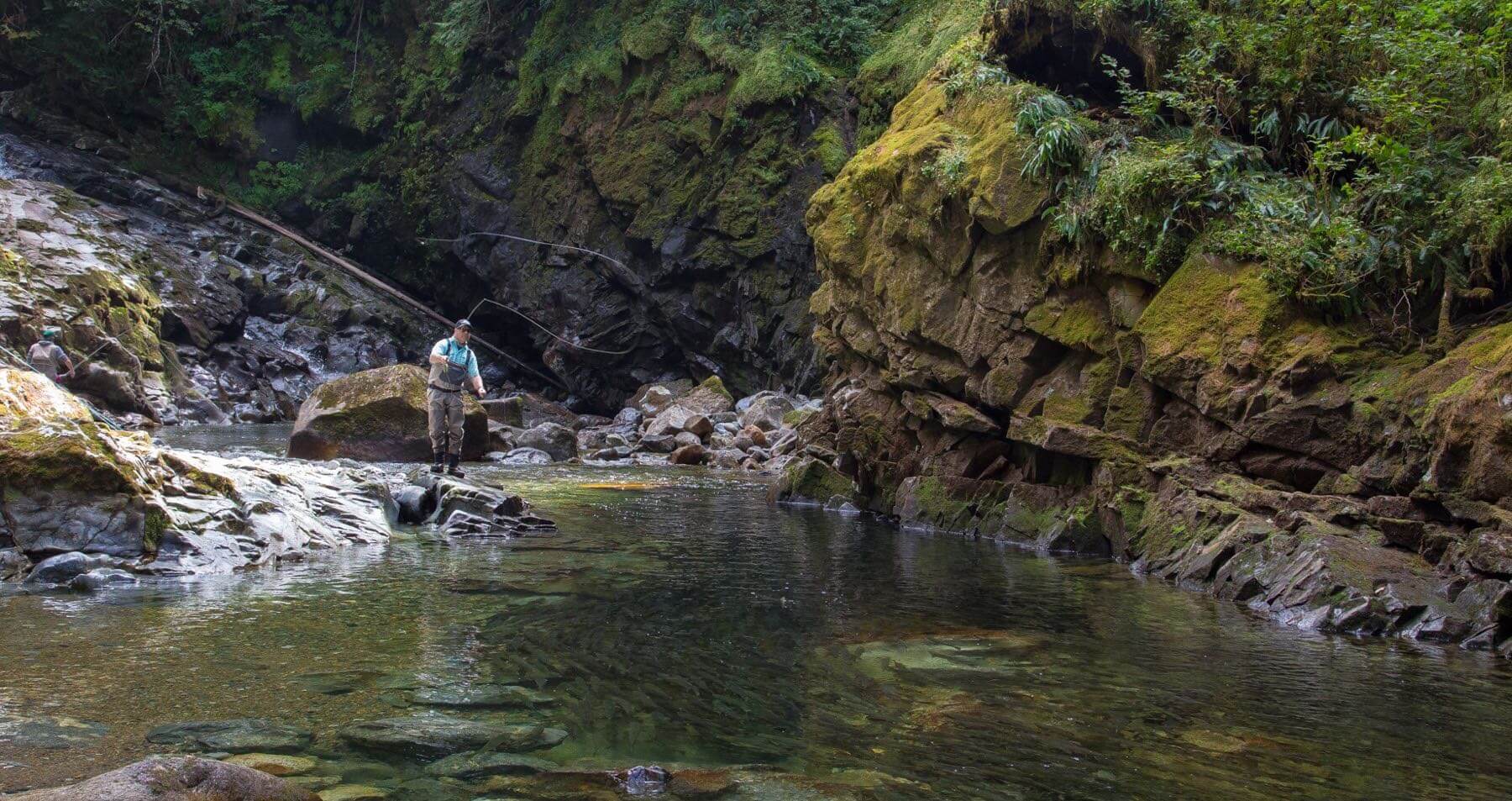 Blackfish Lodge photo 5
