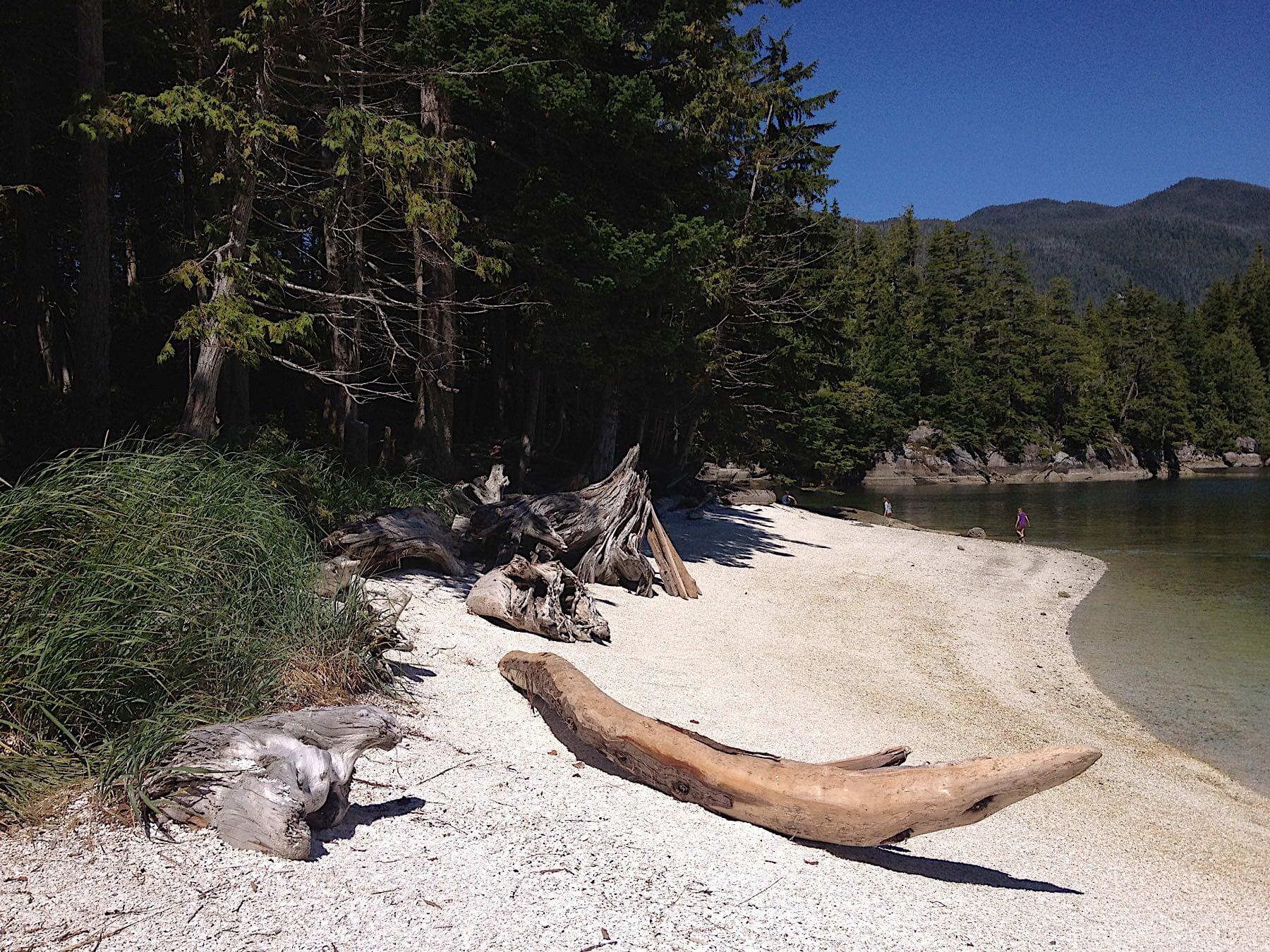 Blackfish Lodge photo 4