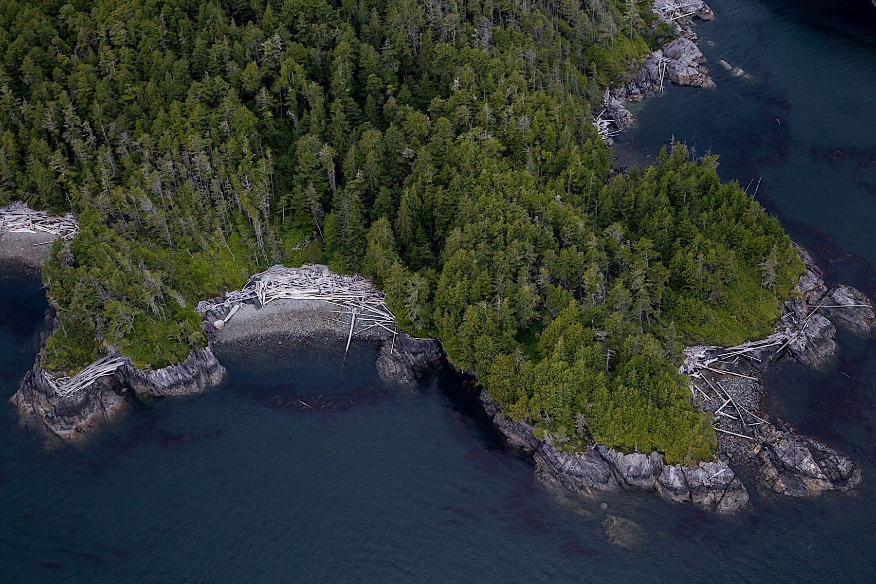 Blackfish Lodge photo 7