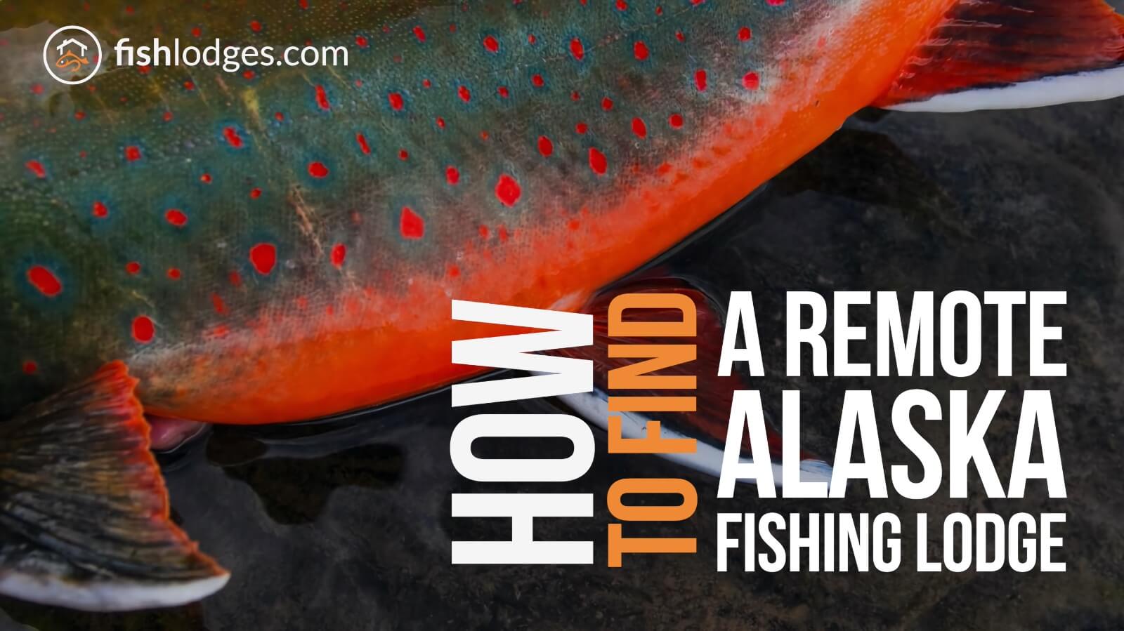 How to Find a Remote Alaska Fishing Lodge