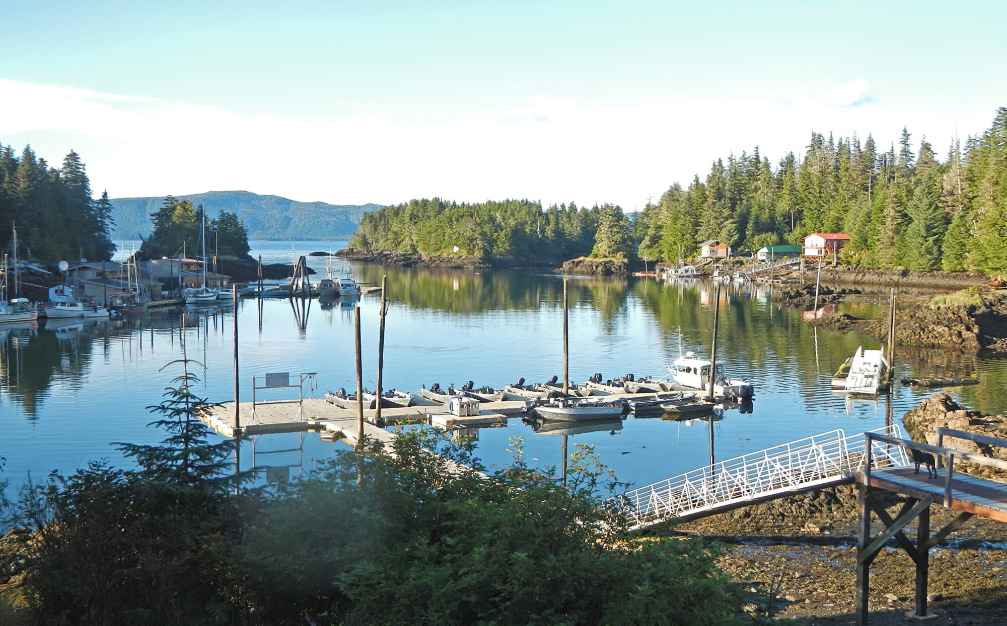 Calder Mountain Lodge