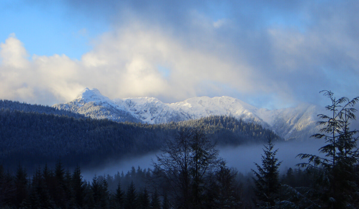 Calder Mountain Lodge photo 13