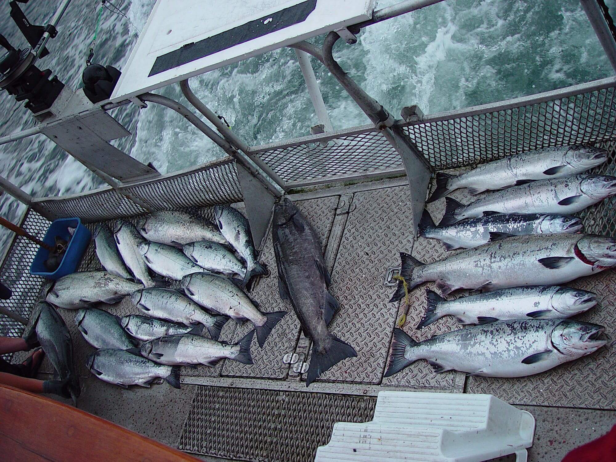 Captain Jim’s Adventures photo 9