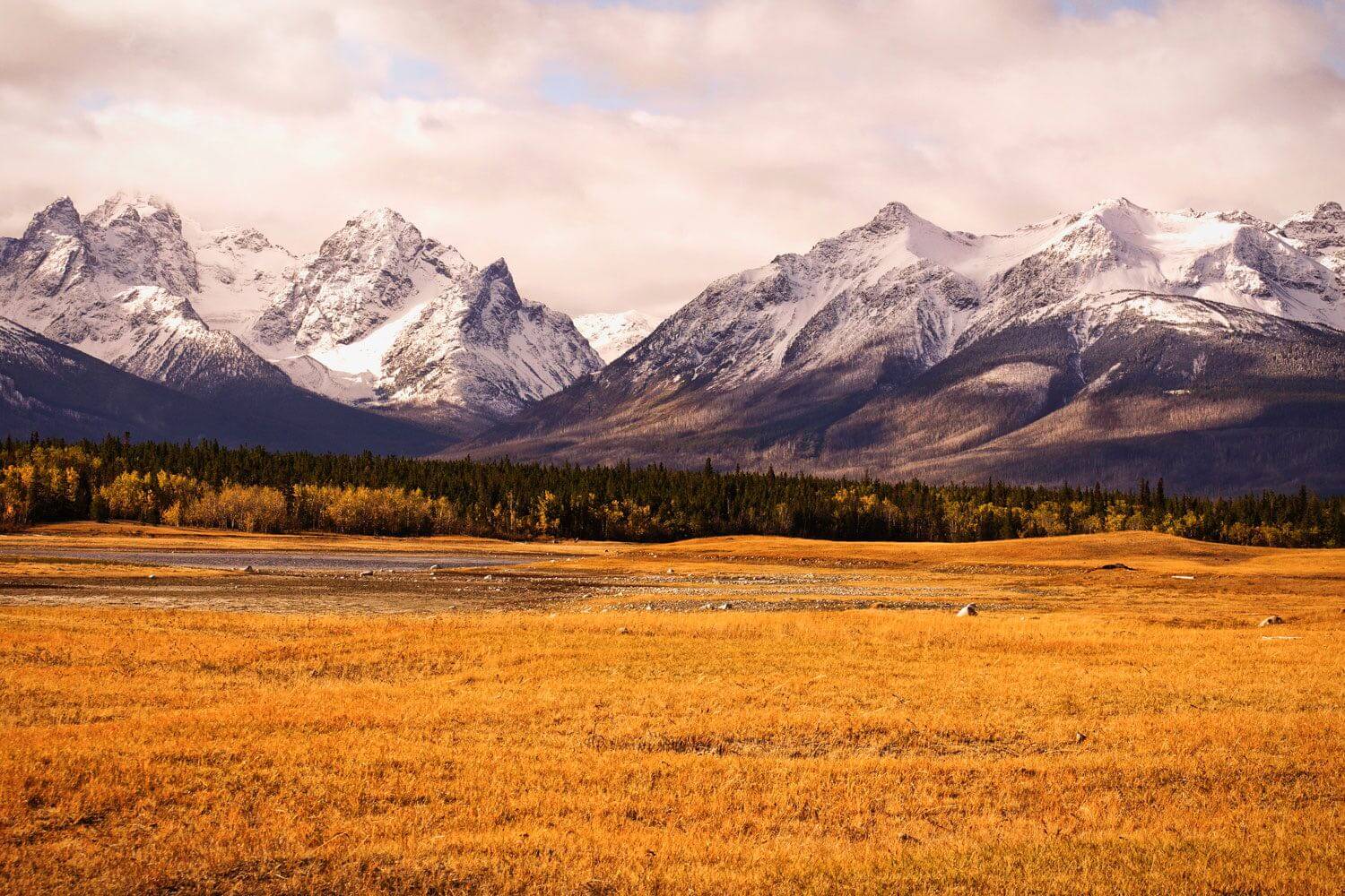Chaunigan Lake Lodge photo 12