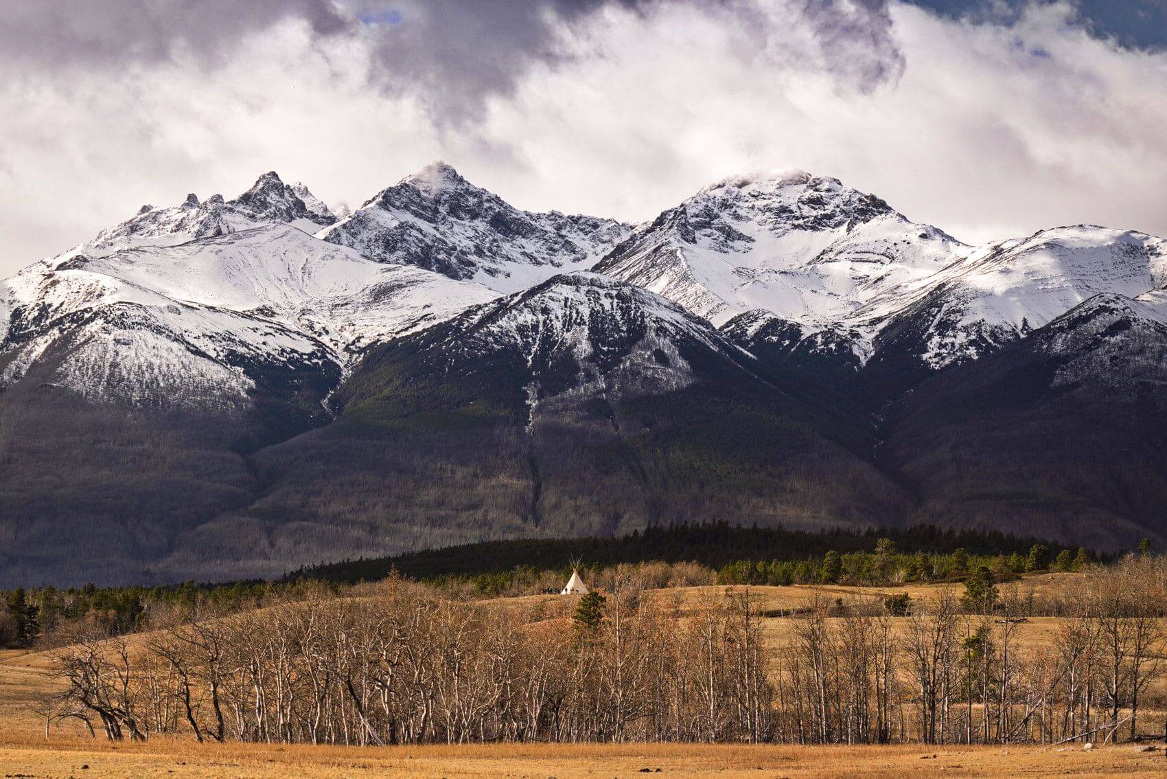 Chaunigan Lake Lodge photo 7