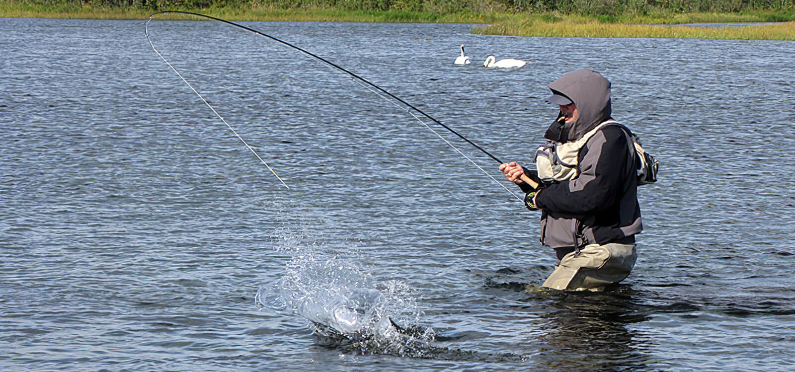Dierick’s Tsiu River Lodge photo 9