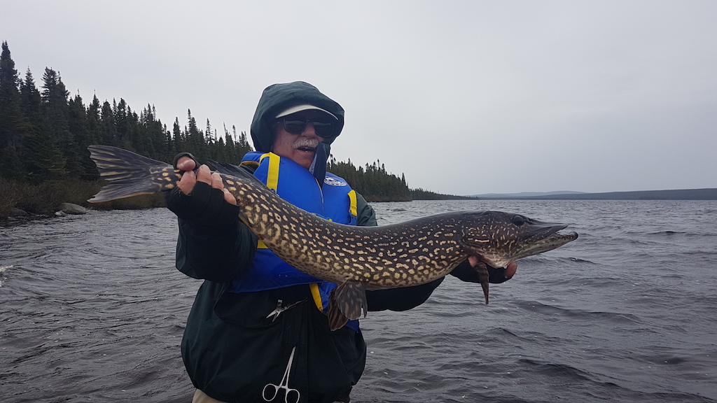 Eagle River Trout Lodge photo 6