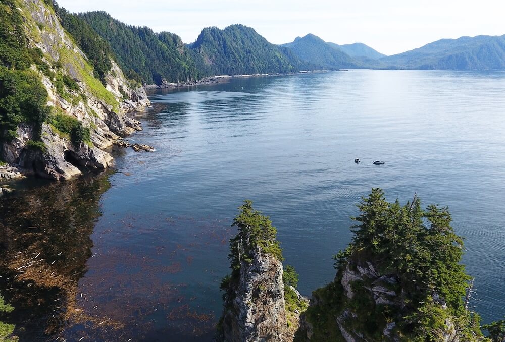 Fireweed Lodge photo 2