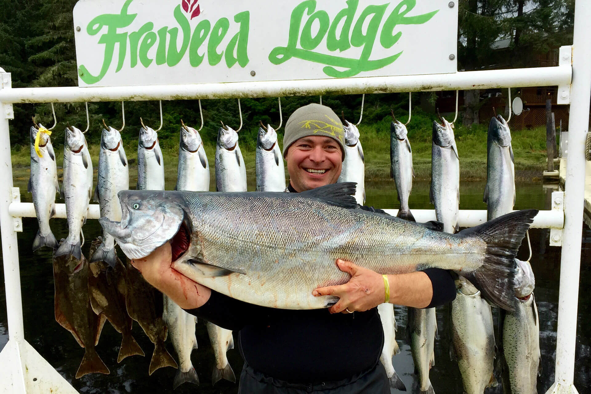 Fireweed Lodge photo 6