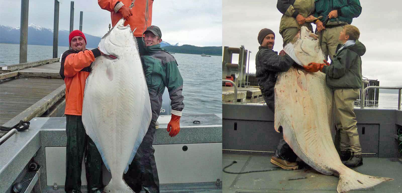 Glacier Bay Eagles Nest Lodge photo 10