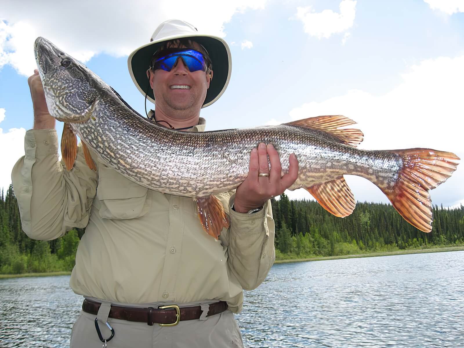 Grizzly Creek Lodge photo 10