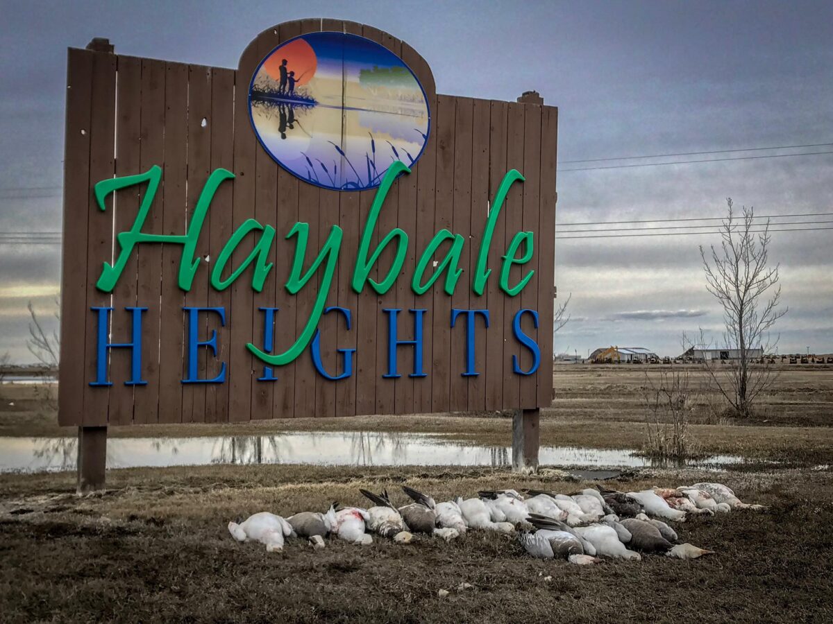 Haybale Heights Resort