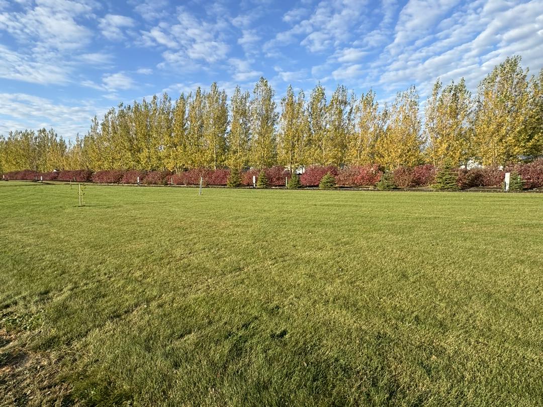 Haybale Heights Resort photo 6