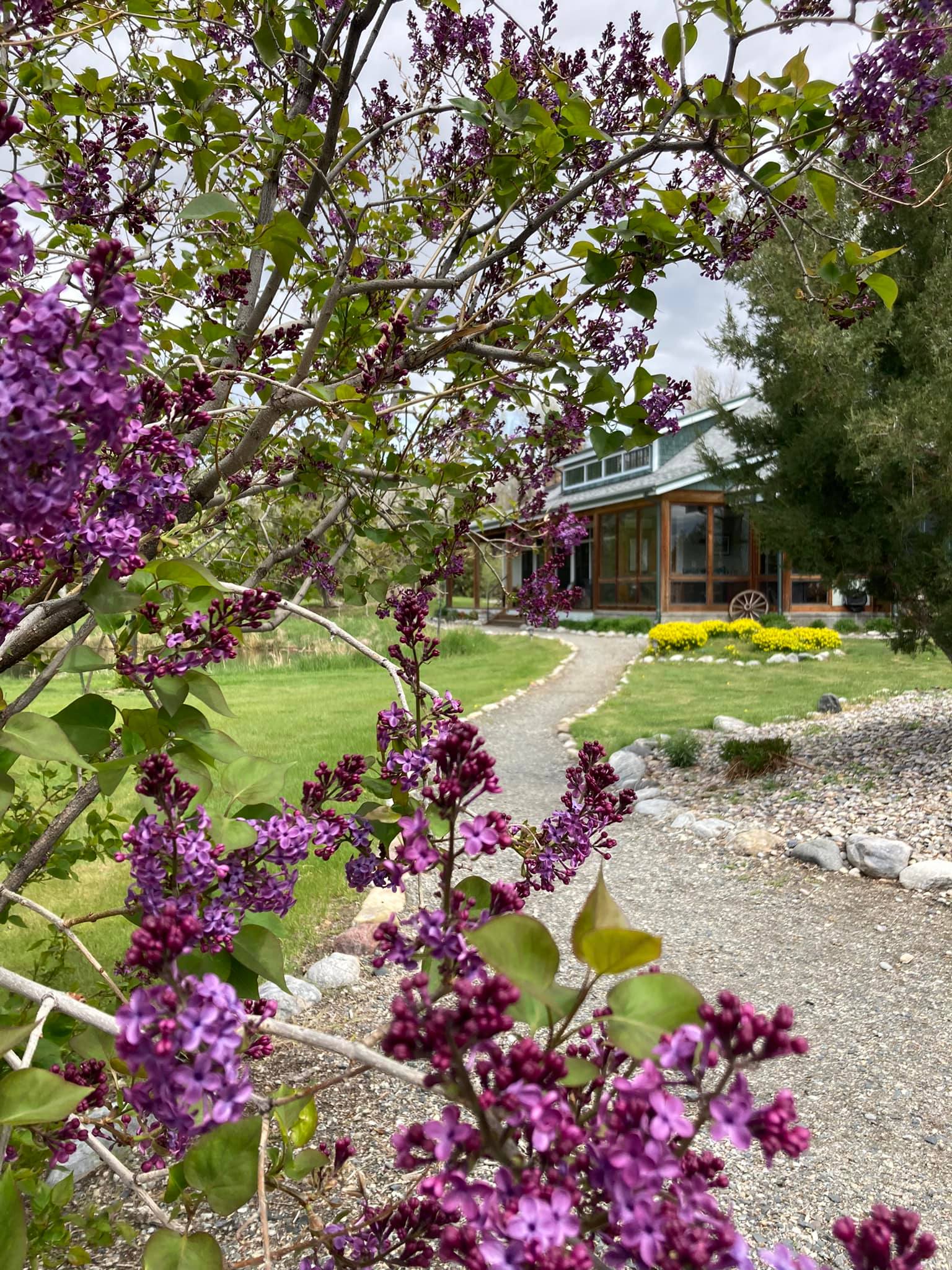 Healing Waters Lodge photo 2